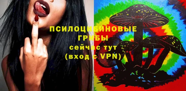 PSILOCYBIN Алексеевка