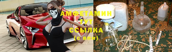 крисы Алзамай