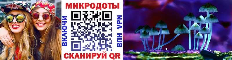 Галлюциногенные грибы MAGIC MUSHROOMS  купить закладку  Новоузенск 
